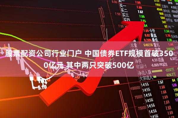 股票配资公司行业门户 中国债券ETF规模首破3500亿元 其中两只突破500亿